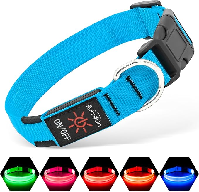 Glow in the dark collar - keep your pet safe and seen after dark