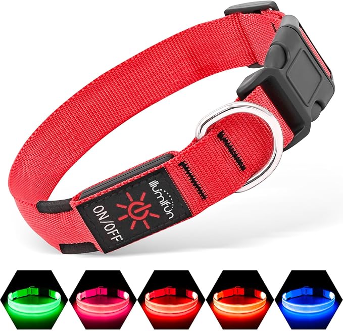 Glow in the dark collar - keep your pet safe and seen after dark